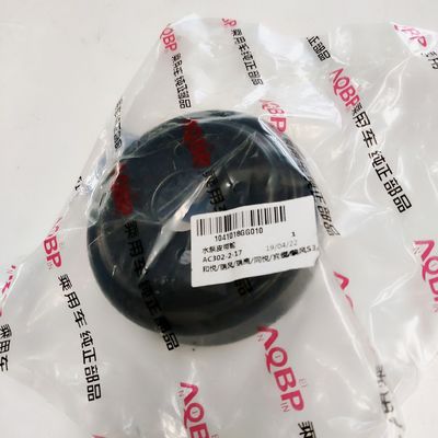 JAC Auto Parts Poulie de pompe à eau pour J3 J5 S2 S3 OE NO. 10*10*3