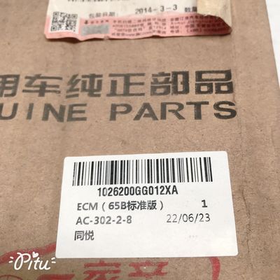Pièces automobiles ECM 65B Édition standard pour JAC Tong Yue Saloon 1026200GG012XA