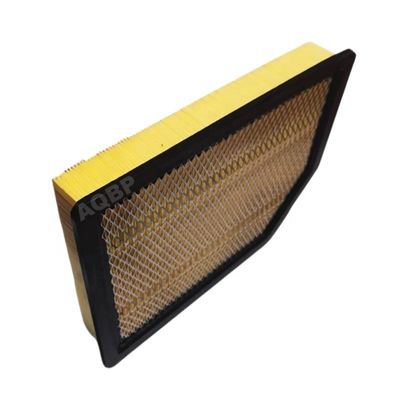 Filtre d'air pour moteur de pièces détachées automobiles standard pour JAC Pickup T6 T8 1109130P3030