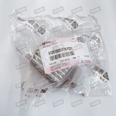 N° OE 8126100x0070-f221 SUV iEV7S 17.10- Module de régulation de vitesse pour véhicule à énergie JAC